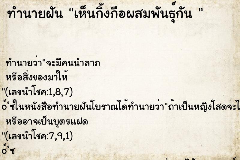 ทำนายฝัน เห็นกิ้งกือผสมพันธุ์กัน 